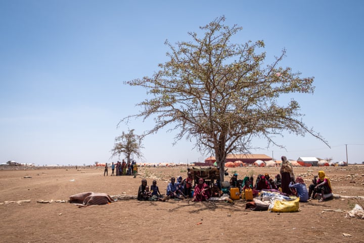 The UN warns that a severe drought in Somalia could lead to famine.