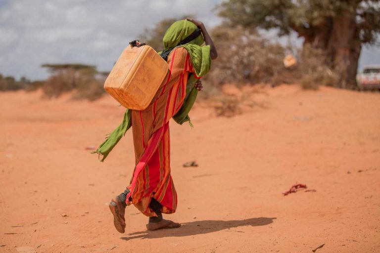 Daily Noon Briefing Highlights: Ukraine, Ethiopia, Somalia