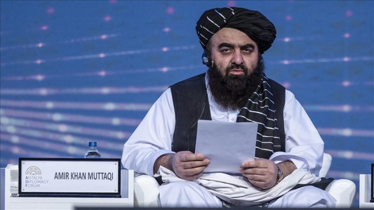 Afghanistan ‘looking forward’ to boosting ties with Turkiye