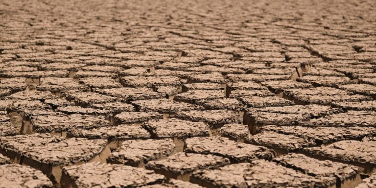 As the drought in Somalia worsens, NGOs warn of a possible famine, urging immediate action.
