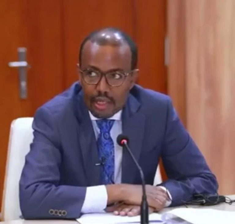 SOMALIA FOREIGN AFFAIRS MINISTER CREDITS PRESIDENT WITH DIRECTING FOREIGN POLICY