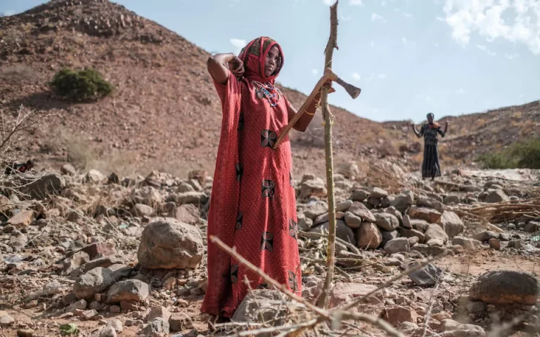 Horn of Africa to experience ‘unimaginable’ loss of life, UK officials warn