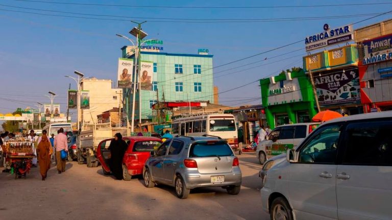 Somaliland claims the protests there were “foreign generated.”