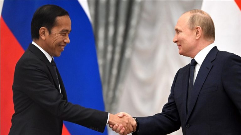 Presidents of Russia and Indonesia talk about world food security
