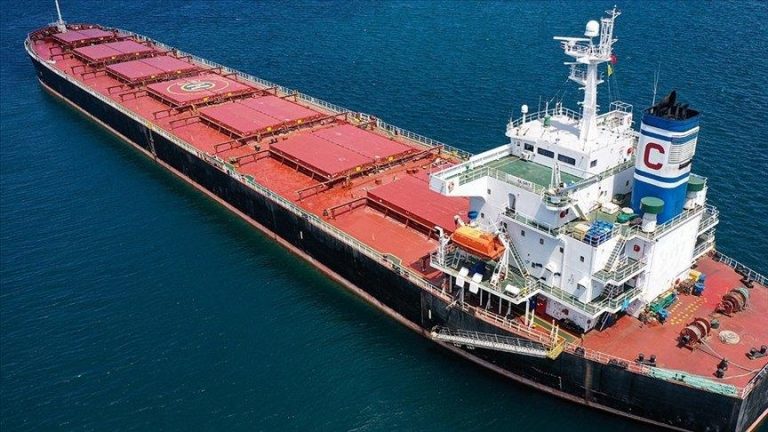 4 additional grain ships depart from the port of Ukraine: Turkey