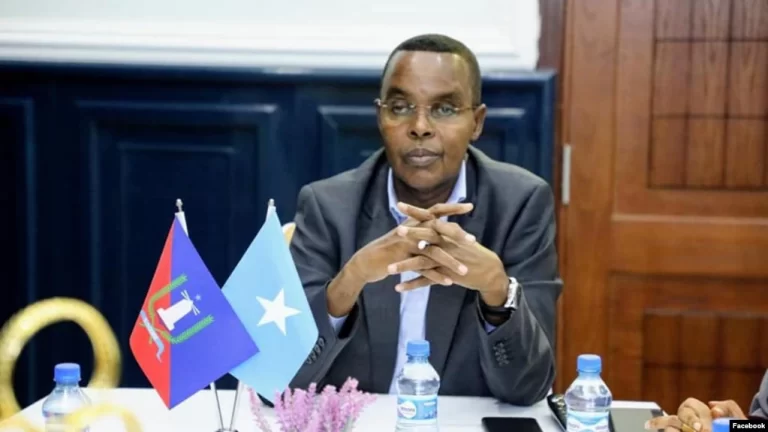 Somali President Fires Mogadishu Mayor and Appoints Replacement