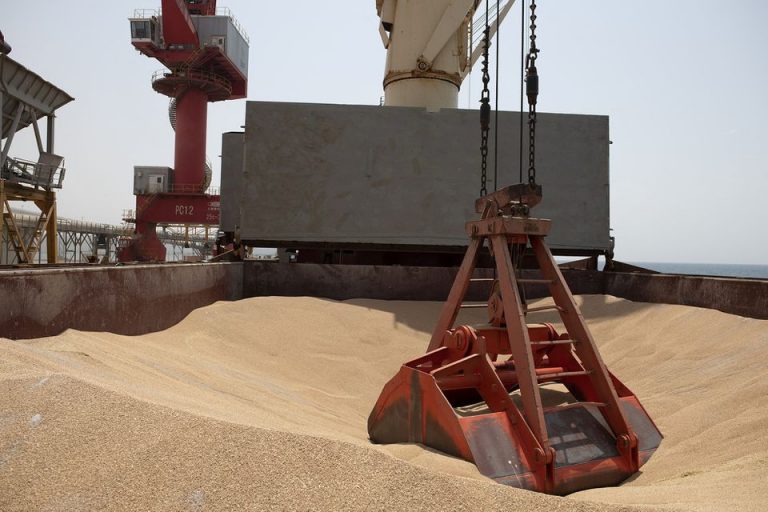 Ukraine claims grain is on its way to Somalia, but Russia is sceptical.