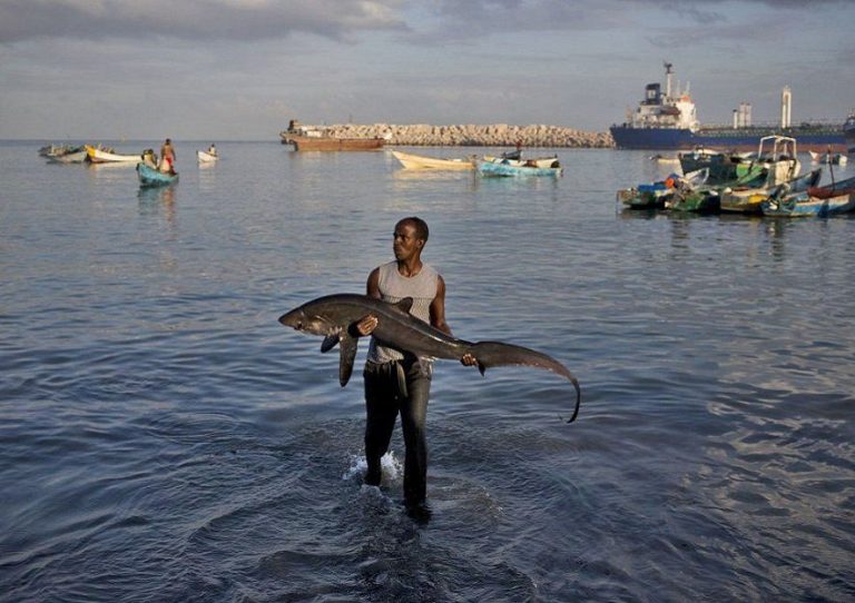 Puntland rejects a directive from the federal government that limits the issuance of fishing licences.