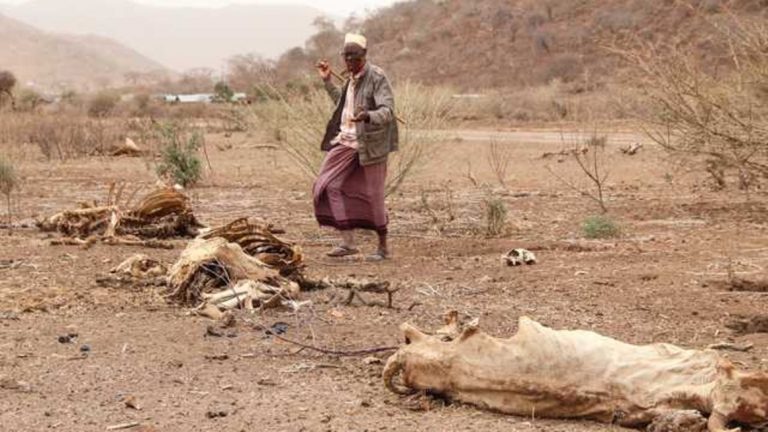 Horn is experiencing a severe drought that has caused starvation.