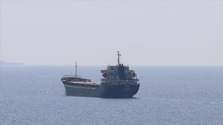 8 more grain ships depart Ukraine as part of the Istanbul agreement: Turkey