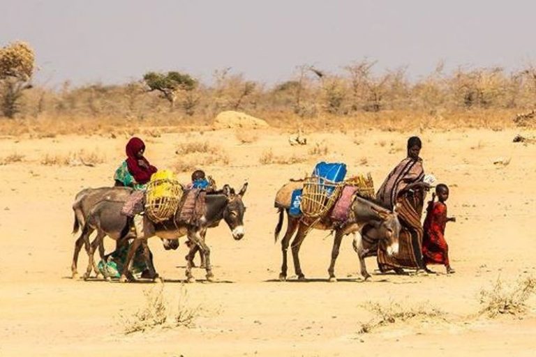 A regional bloc warns that hundreds of thousands could perish from hunger in East Africa due to the drought.