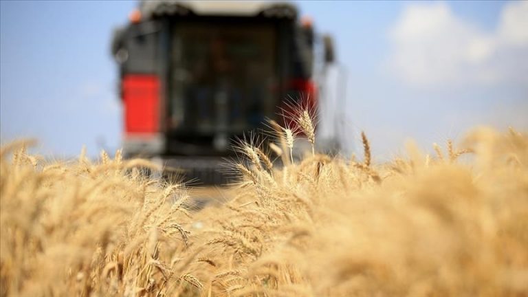 UN wants to extend and increase the grain deal with Ukraine for one year.