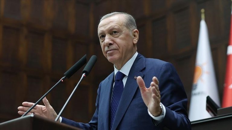 Turkey is one of the most significant countries in the aviation sector: Turkish President