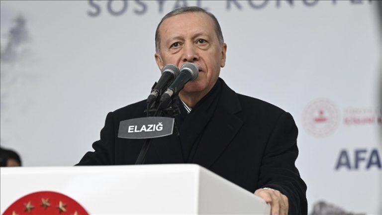 Türkiye intends to rebuild the earthquake-ravaged southern region: President