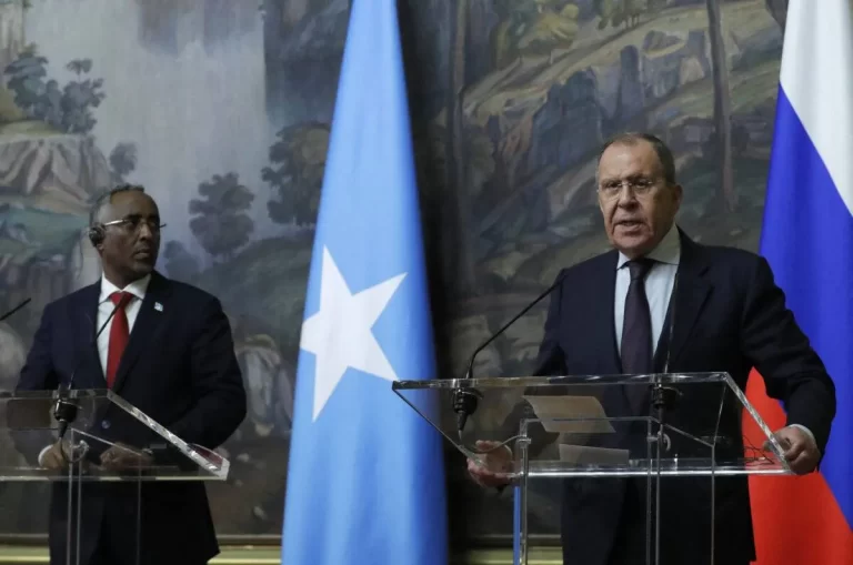 Russia and Somalia are considering creating a platform for commercial cooperation.