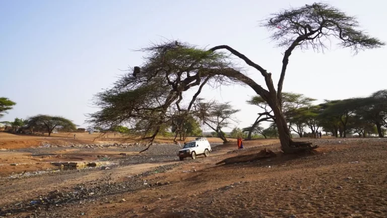 How the East Africa crisis continues to endanger lives