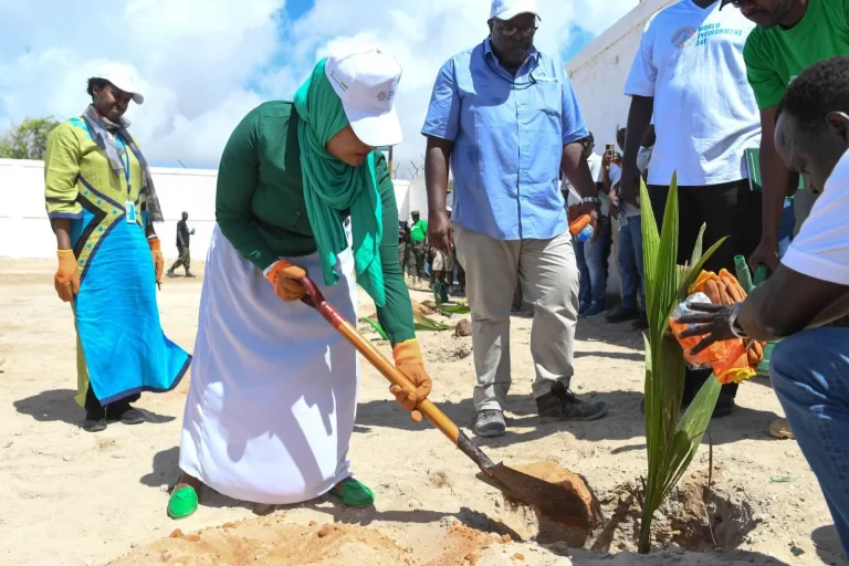 In Somalia, a joint initiative to conserve the environment and combat climate change has been initiated.