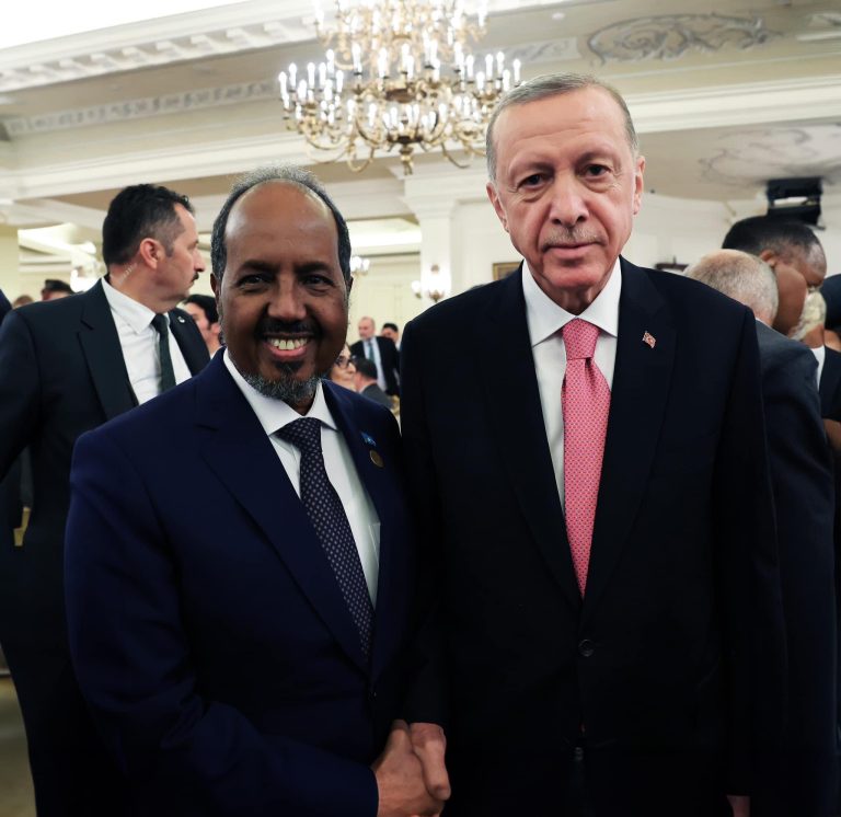 President of Somalia  attends inauguration of Turkey president.