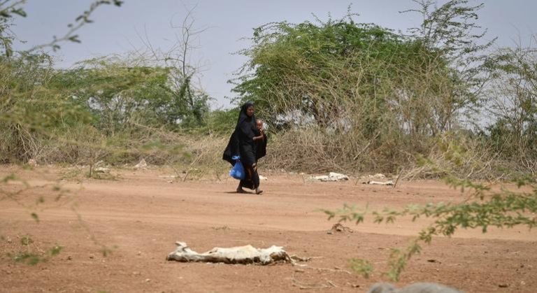 MSF, a humanitarian organisation, has requested assistance for cholera refugees in Kenya.