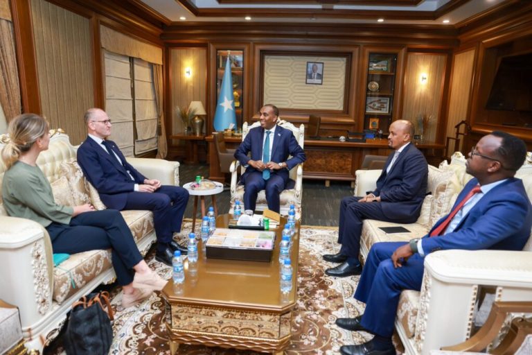 Prime Minister Hamza meets with the UK Ambassador to Somalia.