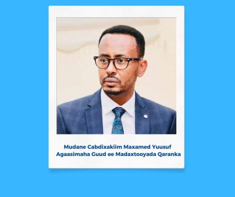 President Hassan Sheikh appoints Director General of the Presidential Palace