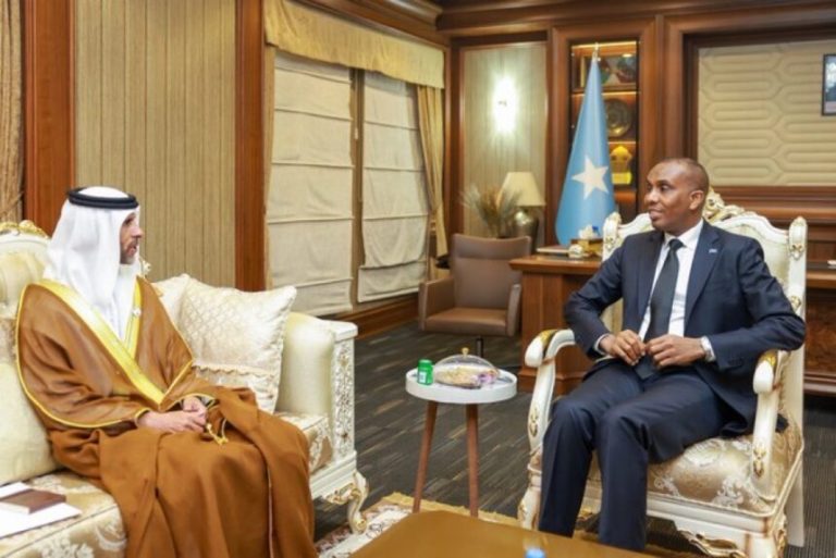 Prime Minister Hamza had a meeting with the UAE Ambassador to Somalia.