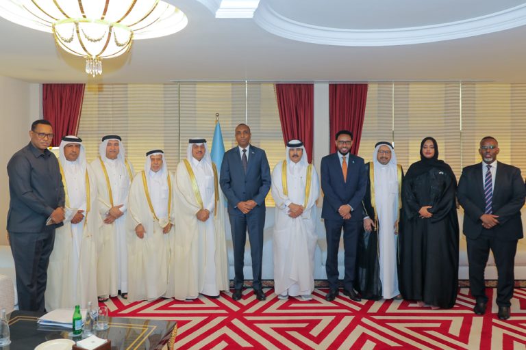 PM of Somalia asks Qatari businessmen to make investments in his nation