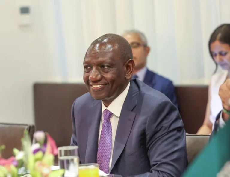 Channel resources towards addressing impediments to SDGs, President Ruto tells global leaders