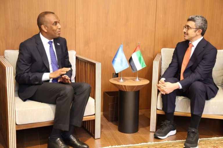 In New York, Somali Prime Minister talks with UAE Foreign Minister.