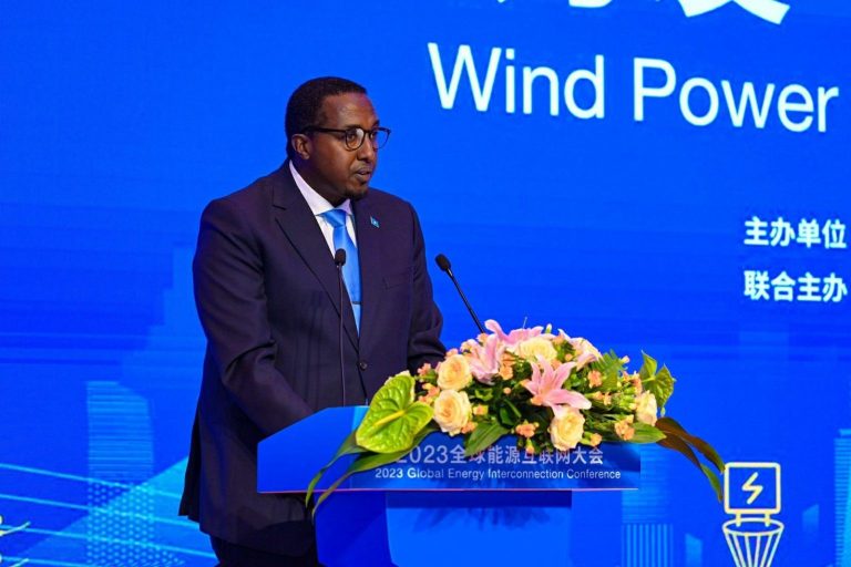 At a global conference, Somalia’s wind energy potential was highlighted.