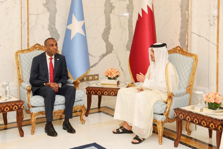 Prime Minister Hamza had a meeting with his Qatari counterpart.