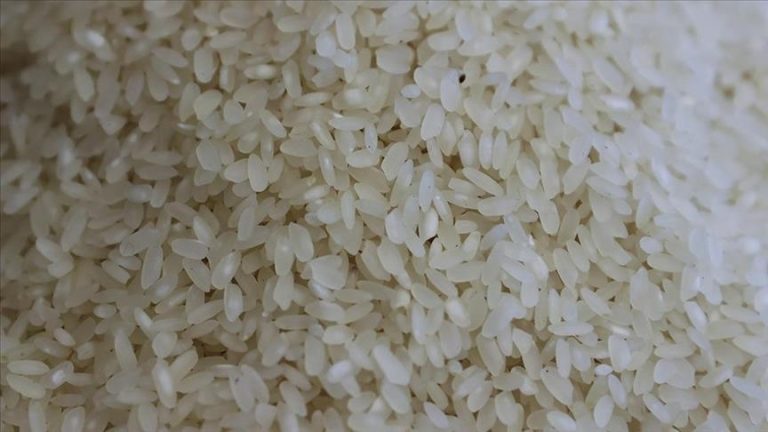 Global food prices fell in August, although rice prices reached a 15-year high.