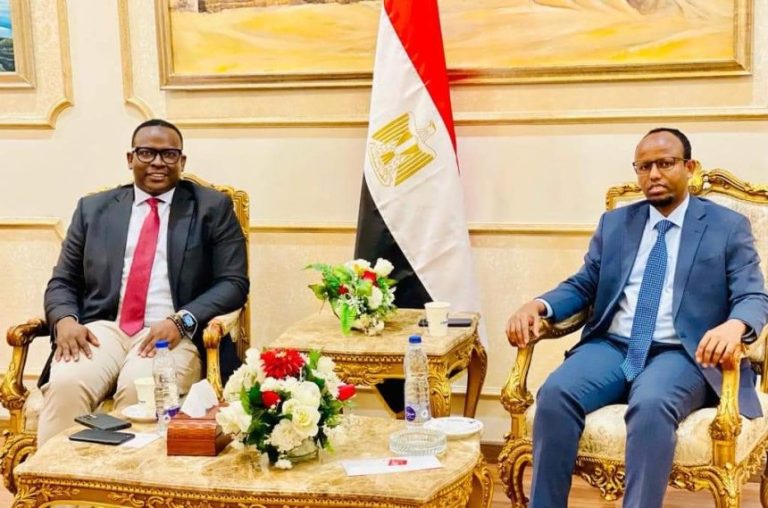 The Health Minister and his delegation arrive in Cairo.