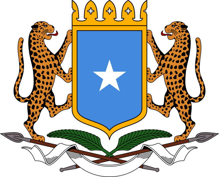 Somalia strongly condemns Israel’s bombardment of a Gaza hospital.
