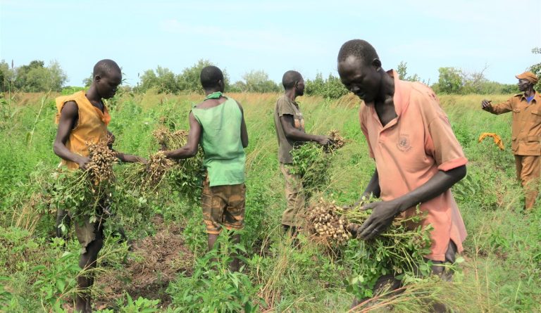 FAO and UNMISS partner to boost food security in South Sudan among prisoners
