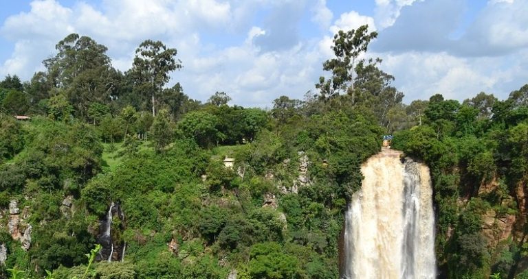 Policymakers are in Tanzania for the 24th Africa’s forests forum