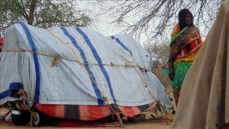 UN Agency says number of displaced people and refugees increased to 114 million