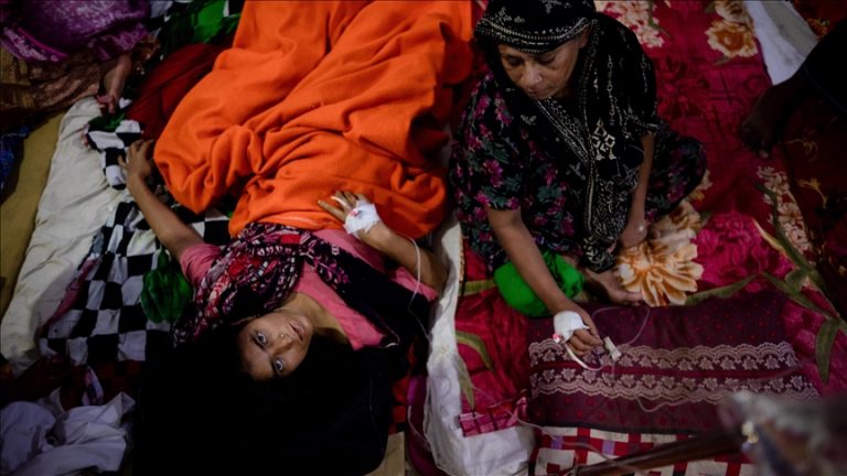 In September, Bangladesh had over 390 dengue fever deaths.