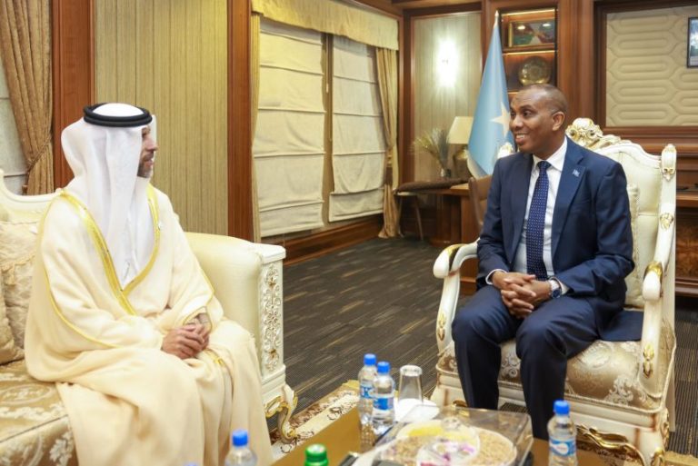Prime Minister Hamza meets with the UAE Ambassador to Somalia.