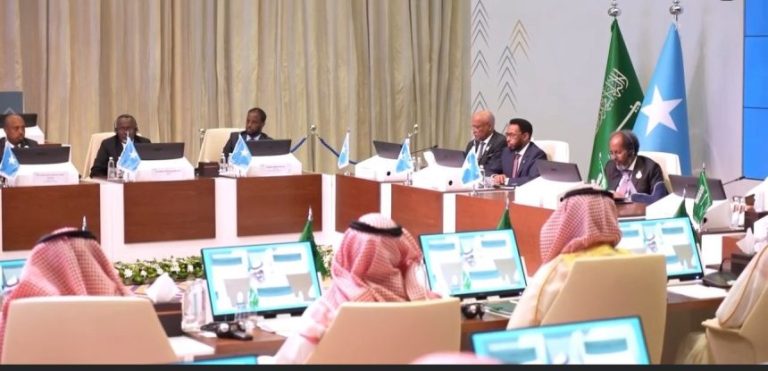 President Hassan Sheikh Presents Investment Vision at the Saudi-Somalia Investment conference