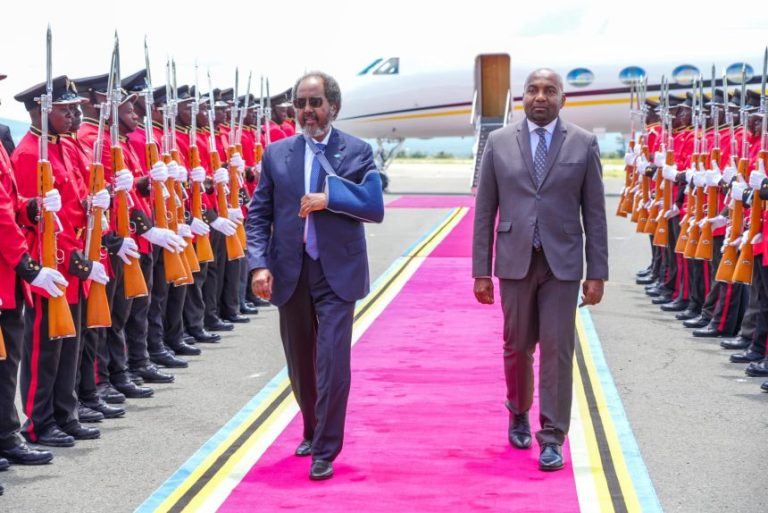 At the Arusha Summit, Somalia’s President advocates for the country’s inclusion in the East African Community.