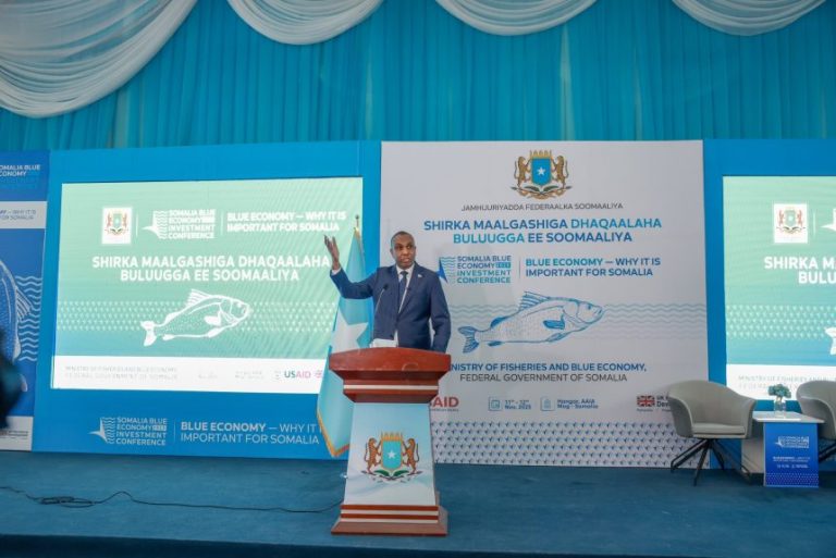 PM Hamza: More than 500,000 people have been displaced, and more than 1 million have been affected by the sudden flood.