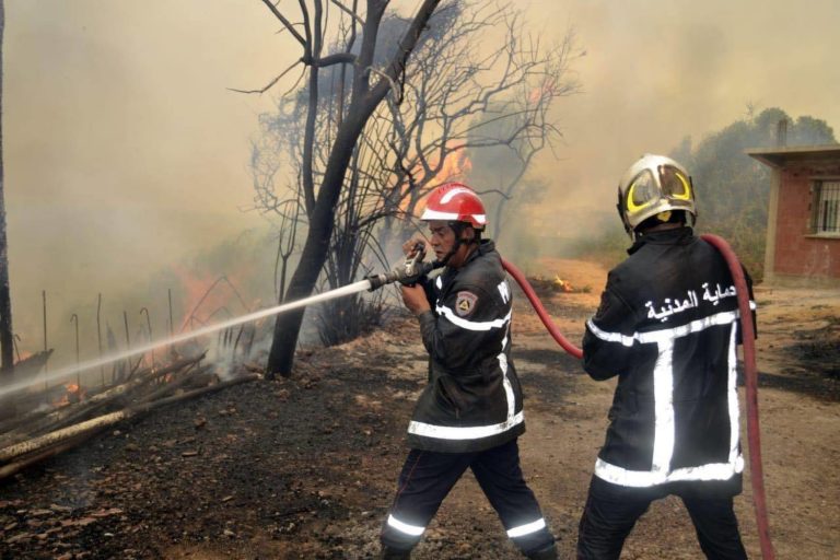 Algeria engulfed in Wildfires and Political Unrest