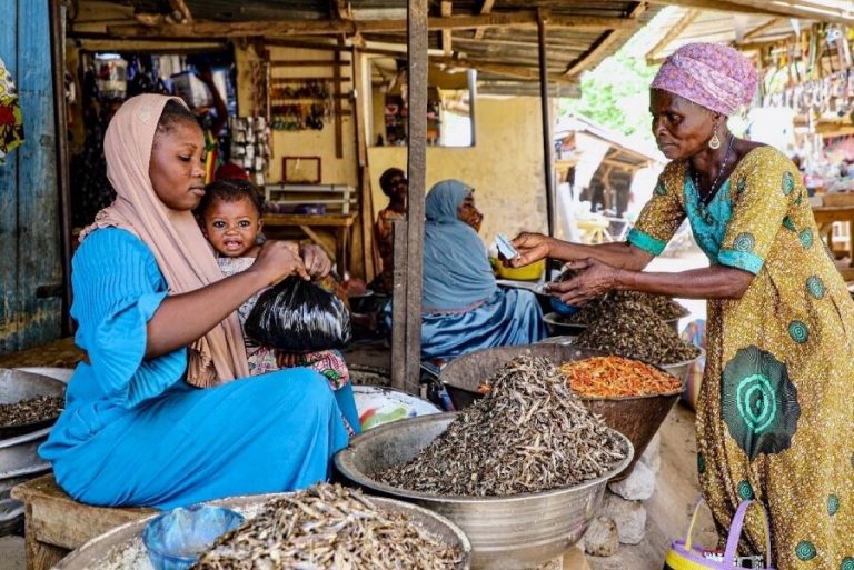 Trade reforms can improve food supplies in West Africa, experts urge
