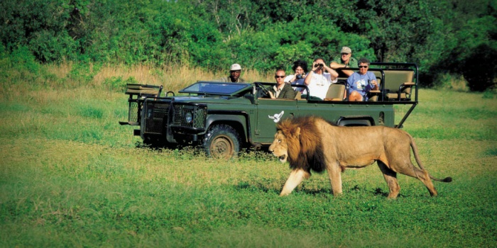 Africa’s tourism sector is poised to generate US $168BN over the next 10 years, New Report