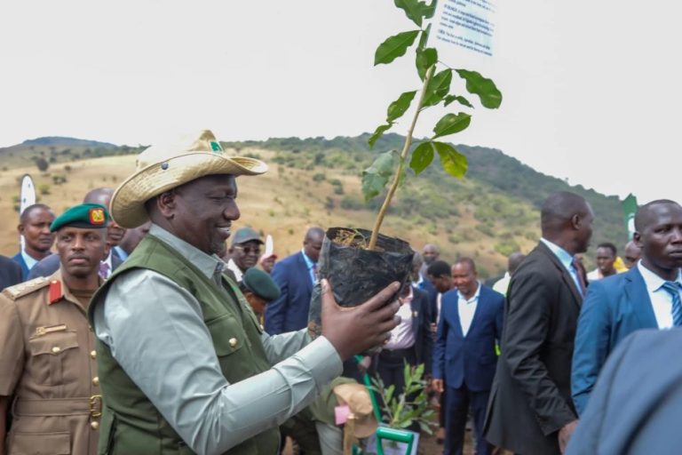 Kenya announces public holiday for a tree planting campaign to meet 15 billion trees target