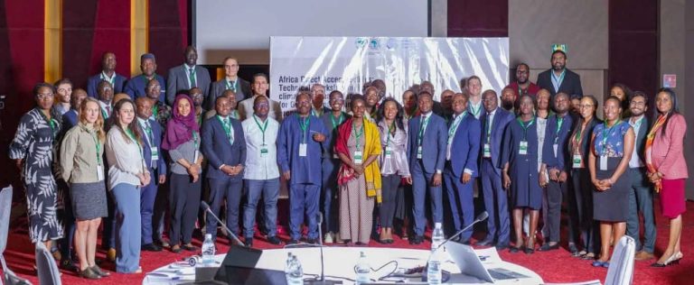 ADB Group to Lead the Continent at the COP28 Summit in Dubai: Leaders Submitting Their Declarations