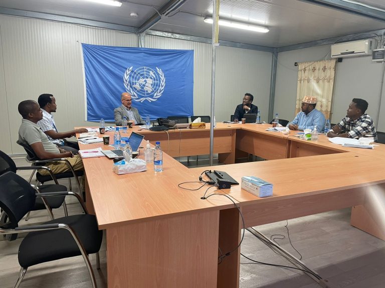 A delegation from the United States Agency for International Development (USAID) visits IDP camps in Baidoa to examine the humanitarian situation.