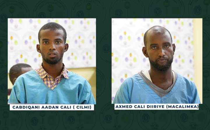 Military Court Decisions Two IS members were sentenced to eight years in prison.