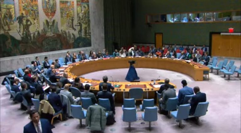 Minister of Information discusses the crucial advantages of lifting the arms embargo on Somalia